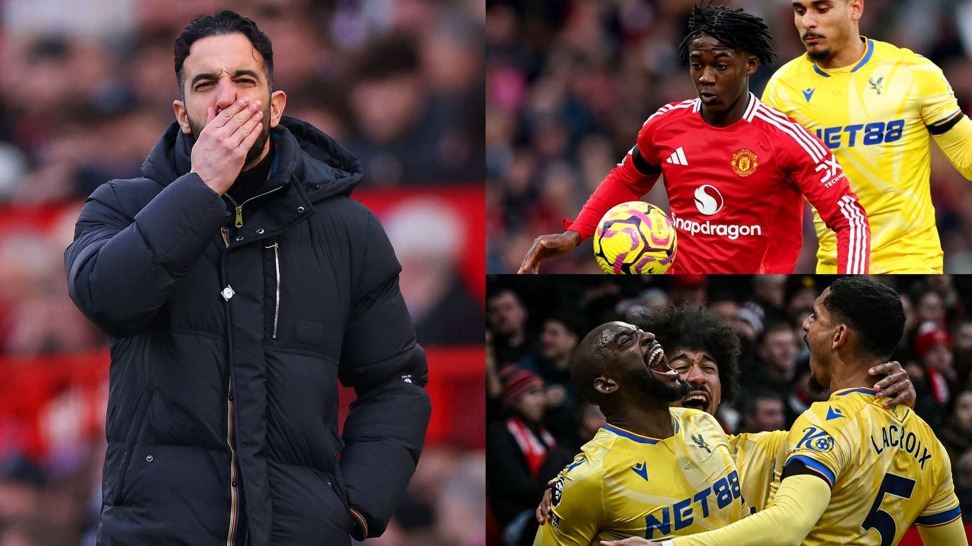 展现了出色 展现了出色